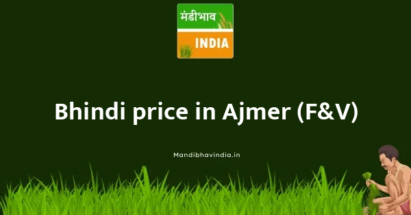 Bhindi price